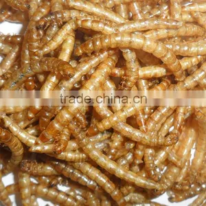 Pure Natural Ornamental Fish Food,Dried Mealworms Fish Feed thumbnail-1