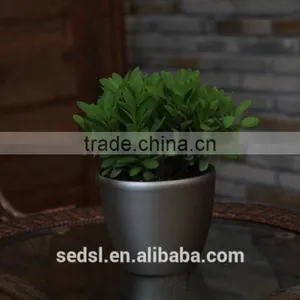 Small Decorative Flower Pots,decoration Pot,desktop Flower Pot thumbnail-5