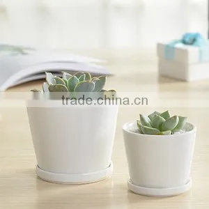 Indoor Mini Ceramic Decor White Plant Pot thumbnail-4