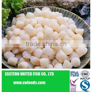 Dried Scallop Meat thumbnail-1