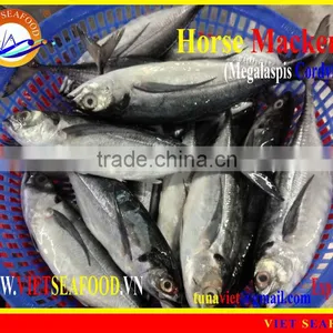 FRESH RAM MATERIALS W/R HORSE MACKEREL thumbnail-1