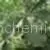 Magnolia P.E. thumbnail-1