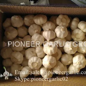 Chinese 100% Pure White Fresh Garlic Small Packing Costa Rica Market thumbnail-2