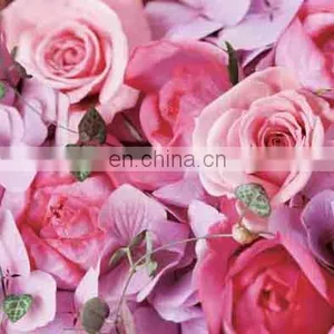 New Arrival Carton PET 40x40cm Lenticular 3D Poster With Frame thumbnail-5