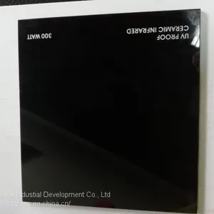 High Temperature Resistance Clear Ceramic Glass Pannel/ Robax Glass thumbnail-1