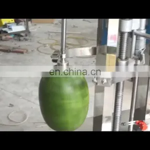 Industal Fruit Peeler Watermelon Peeling Machine Grapefruit Peeling Machine thumbnail-1
