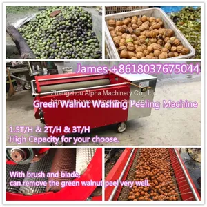 Green Walnut Washing Peeling Machine Walnut Peeler Machine thumbnail-1