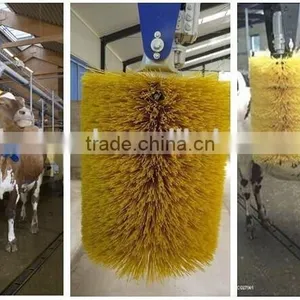 Electric Cattle Brush thumbnail-2