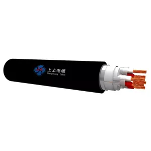 Enterprise Standard Instrumentation Cable With Silicone Rubber Insulation, 300/500V thumbnail-1
