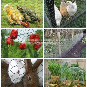 Factory Hot Sale PVC Coated Hexagonal Wire Mesh thumbnail-3