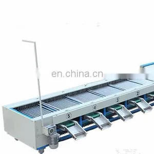 Jujube Sorting Machine Date Grading Machine thumbnail-1