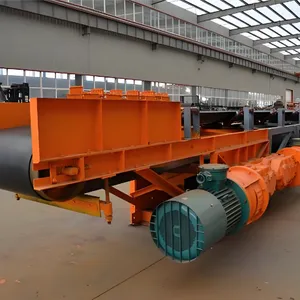 Customized Industrial Fixed Belt Conveyor DSJ100/80/2x125 for Mining, Heavy Duty Industrial Material Handling Equipment thumbnail-3