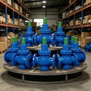 304 Stainless Steel Marine Self Closing Valve DN15-DN50 PN16 Flanged End Automatic Closing thumbnail-5