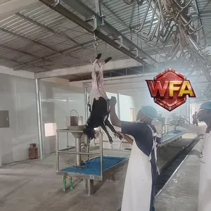 CE Sheep Slaughterhouse Equipment Complete Abattoir Line Machine Butcher Device Mutton Processing Machinery Plant thumbnail-2