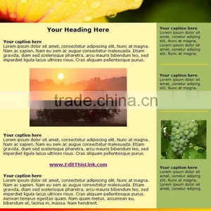 Professional Newsletter Template Design thumbnail-1