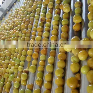 Apricot Puree thumbnail-2