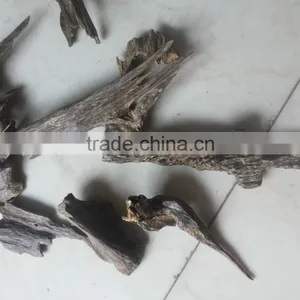 Agarwood thumbnail-1