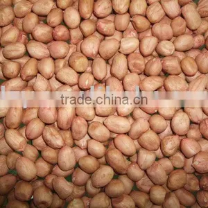 Groundnut Kernel thumbnail-1