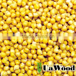 Yellow Peas From Ukraine thumbnail-1