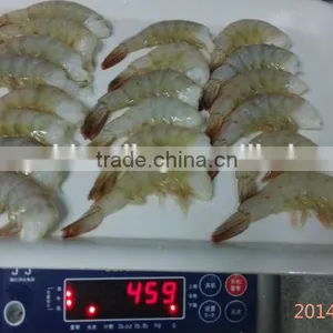 Vannamei Shrimp thumbnail-4