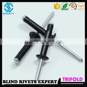 HIGH QUALITY FACTORY BLACK OXIDATION COLOR LSR/LS RIVETS FOR GLASS CURTAIN WALL thumbnail-1