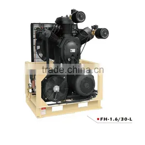 2 Cylinder Compressor in Air thumbnail-1