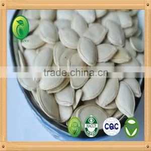 Good Taste Roasted and Salted Shine Skin Pumpkin Seeds 11mm 10mm 9mm High Quality thumbnail-1