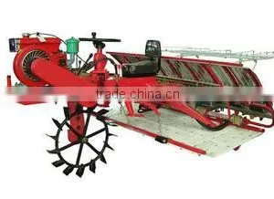 Weifang Dingchen International Trade Co., Ltd. company overview - view 3 thumbnail