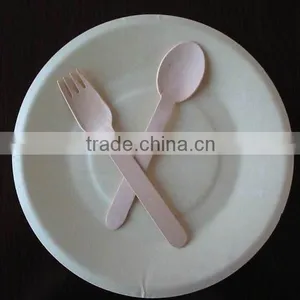 Disposable Round Plate thumbnail-1