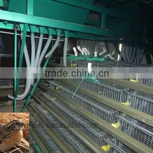 Galvanized Material Automatic Layer Quail Equipment thumbnail-1