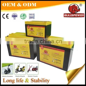 China Best 36v 12v 24ah Electric Rickshaw Electric Bike Battery thumbnail-6