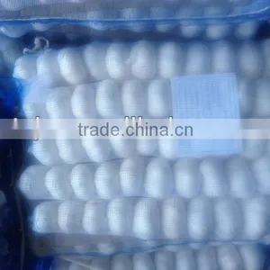 Chinese Shandong Pure White Garlic thumbnail-1