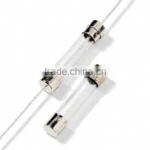 Glass Fuse/glass Tube Fuse Standard Fuse thumbnail-1