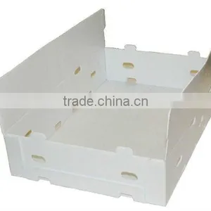 Foldable Eco-friendly Corflute Plastic Fruit Box thumbnail-1