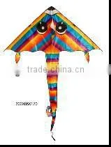 Kites thumbnail-1