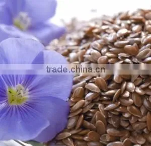 Linum Usitatissimum(flax Seed) thumbnail-3