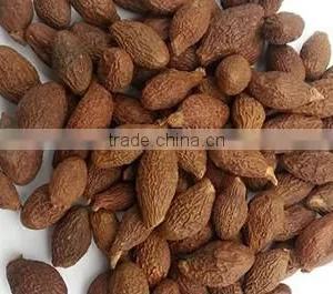 VIETNAM MALVA NUT FOR SALES thumbnail-1