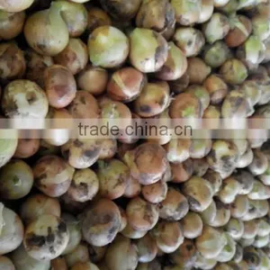 2014 Fresh Carrots Onion Potato thumbnail-2