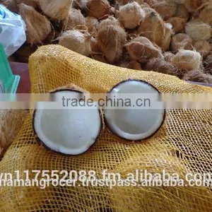 Semi Husked Coconut, Mature Coconut, Fresh Coconut thumbnail-4