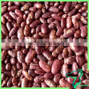 Red Speckled Kidney Bean Origin Of China thumbnail-1
