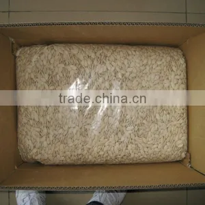 Roasted and Salted Pumpkin Seed (11cm,12cm,13cm) thumbnail-2