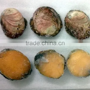 Red Abalone (Live, Frozen & Canned) thumbnail-1