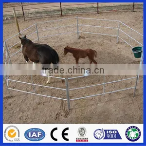 Cattle Paddock and Horse Fence thumbnail-1
