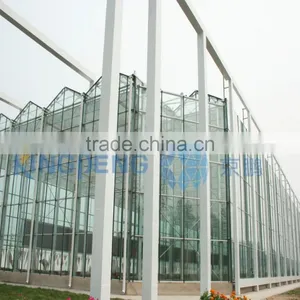 Agricultural Multi Span Glass Greenhouse thumbnail-1