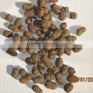 Expanded Clay Aggregate Lightweight Used for Flower Bonsai Without Soil Cultivation thumbnail-3