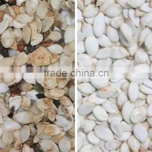 CCD Oil Seed Color Sorter/sorting Machine/Food Processing Machine thumbnail-5