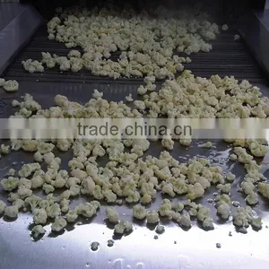 Vegetable Tunnel Freezer thumbnail-3