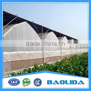 Multi Span Greenhouse /Invernadero For Vegetables thumbnail-6