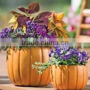 Pumpkin Flowerpot thumbnail-1