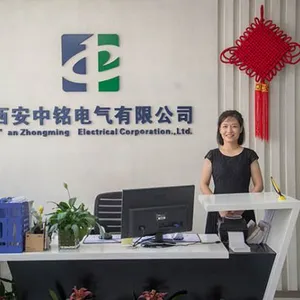 Xi'an Zhongming Electrical Co.,Ltd company overview - view 1 thumbnail
